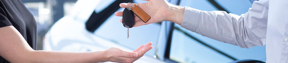 Asesores de servicio vehicular