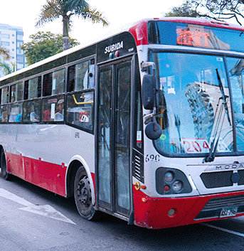 Imagen de Comité de Buses