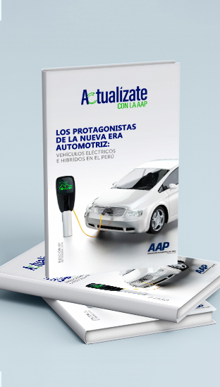 2019 - Vehículos eléctricos