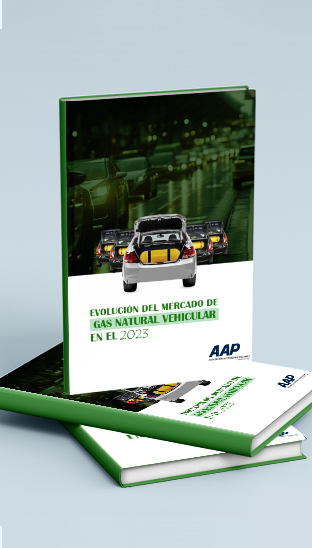 2023 - Evolución del mercado de GNV