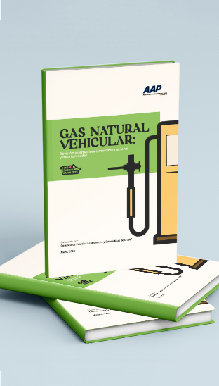 2023 - Gas natural vehicular:  Revisión internacional del mercado nacional y oportunidades