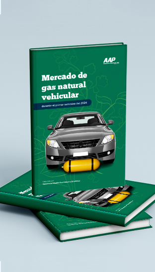 2024 - Mercado de gas natural