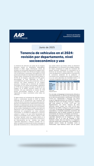 Junio 2025 -  Tenencia de vehículos en el 2024
